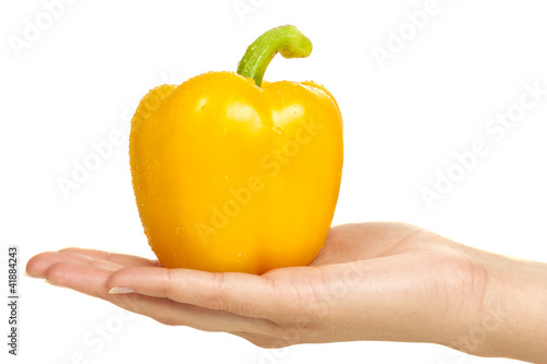 Yellow bell pepper in hand