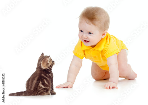 funny baby crawling to cat