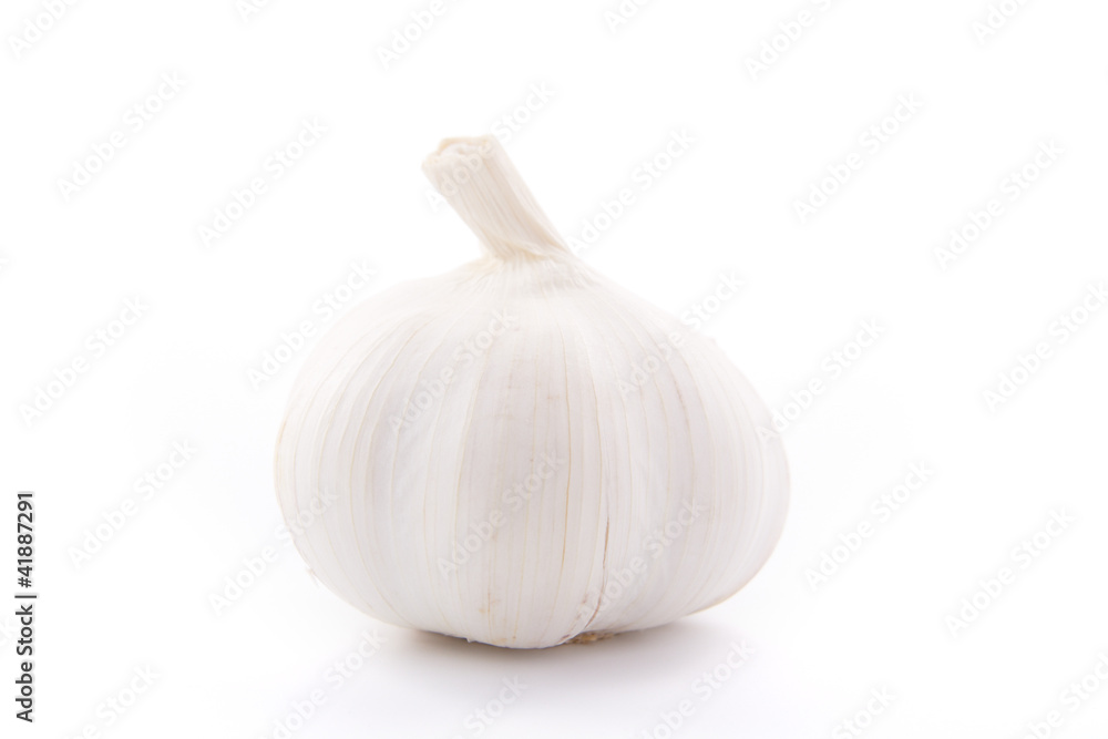 Fresh single garlic on white background