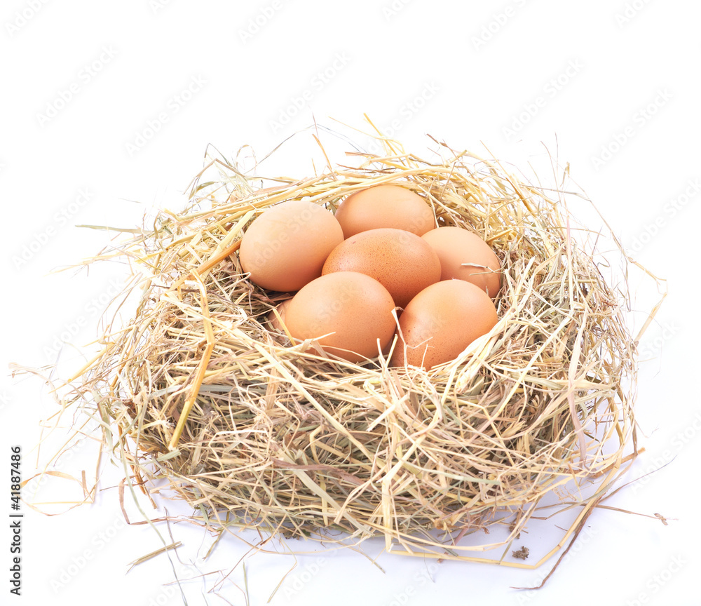 Brown eggs in a nest on a white background Brown eggs in a nest on a white background
