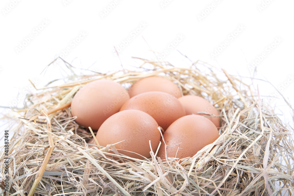 Brown eggs in a nest on a white background Brown eggs in a nest on a white background
