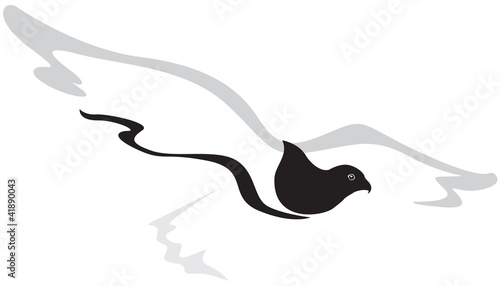 Flying falcon