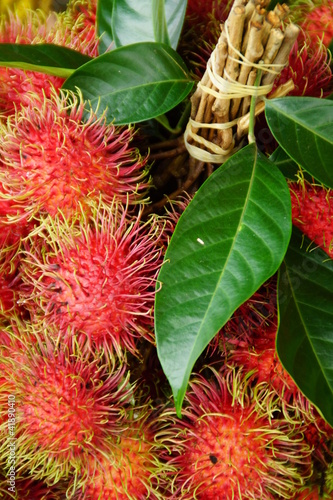 Rambutan, Thai Exotic Fruit of Thailand