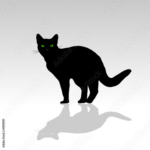 cat with green eye vector illustration