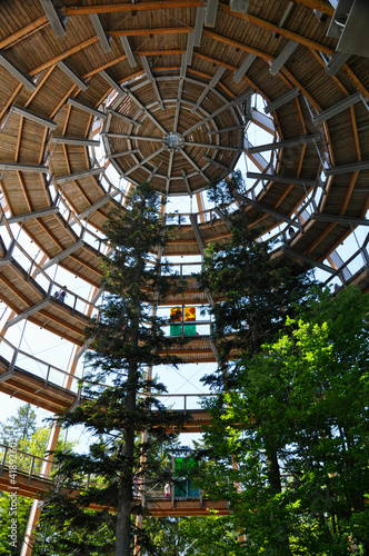 Tree top walk observatory