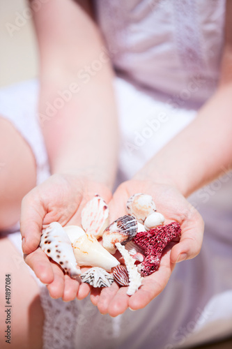 Close up of seashells