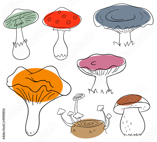 Vector mushroom collection on a white background