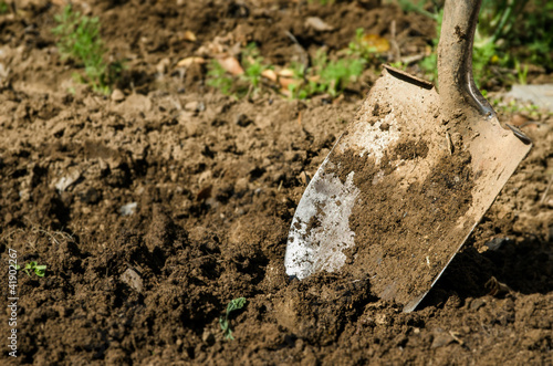 shovel in the ground
