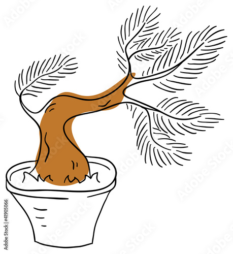 Vector bonsai tree is isolated on a white background