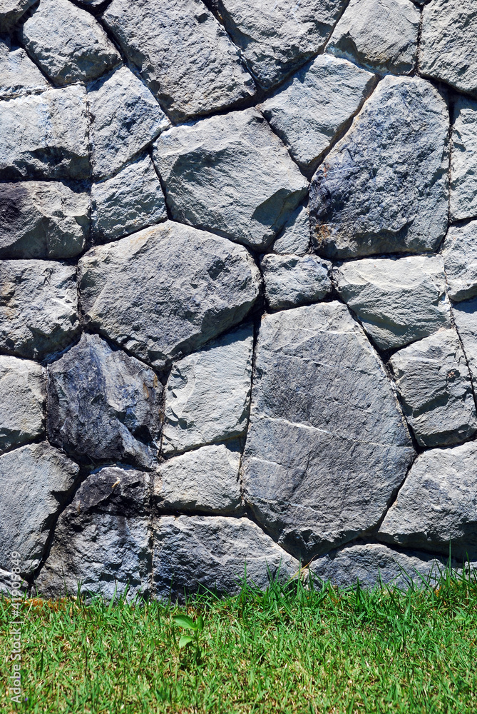 Obraz premium Grass and stone wall