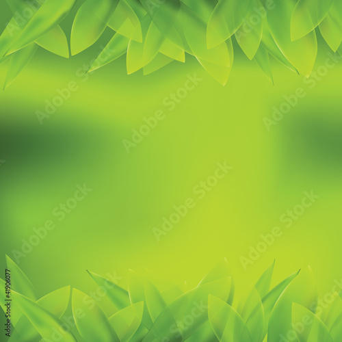 Grüner Hintergrund mit Blättern, Vector