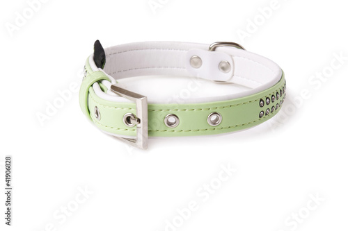dog-collar
