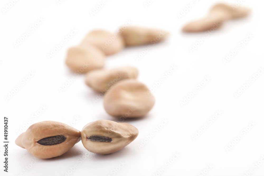 Broad beans (fava beans) on a white background, selective focus Broad beans (fava beans) on a white background, selective focus