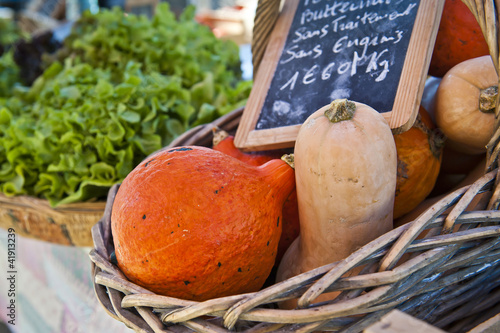 Basket of Squash photo