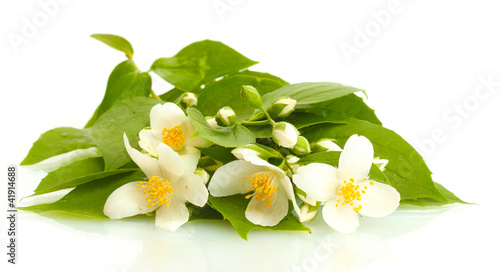 Obraz na plátně beautiful jasmine flowers with leaves isolated on white