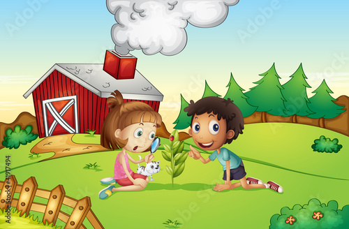 Farm