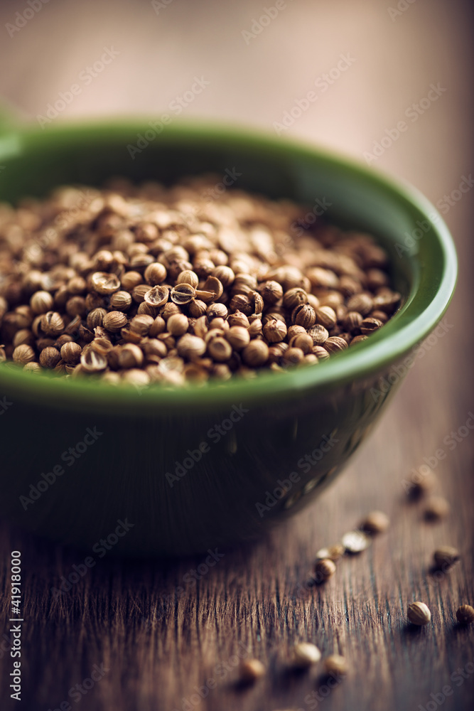 Coriander seeds in small ceramic pot Coriander seeds in small ceramic pot