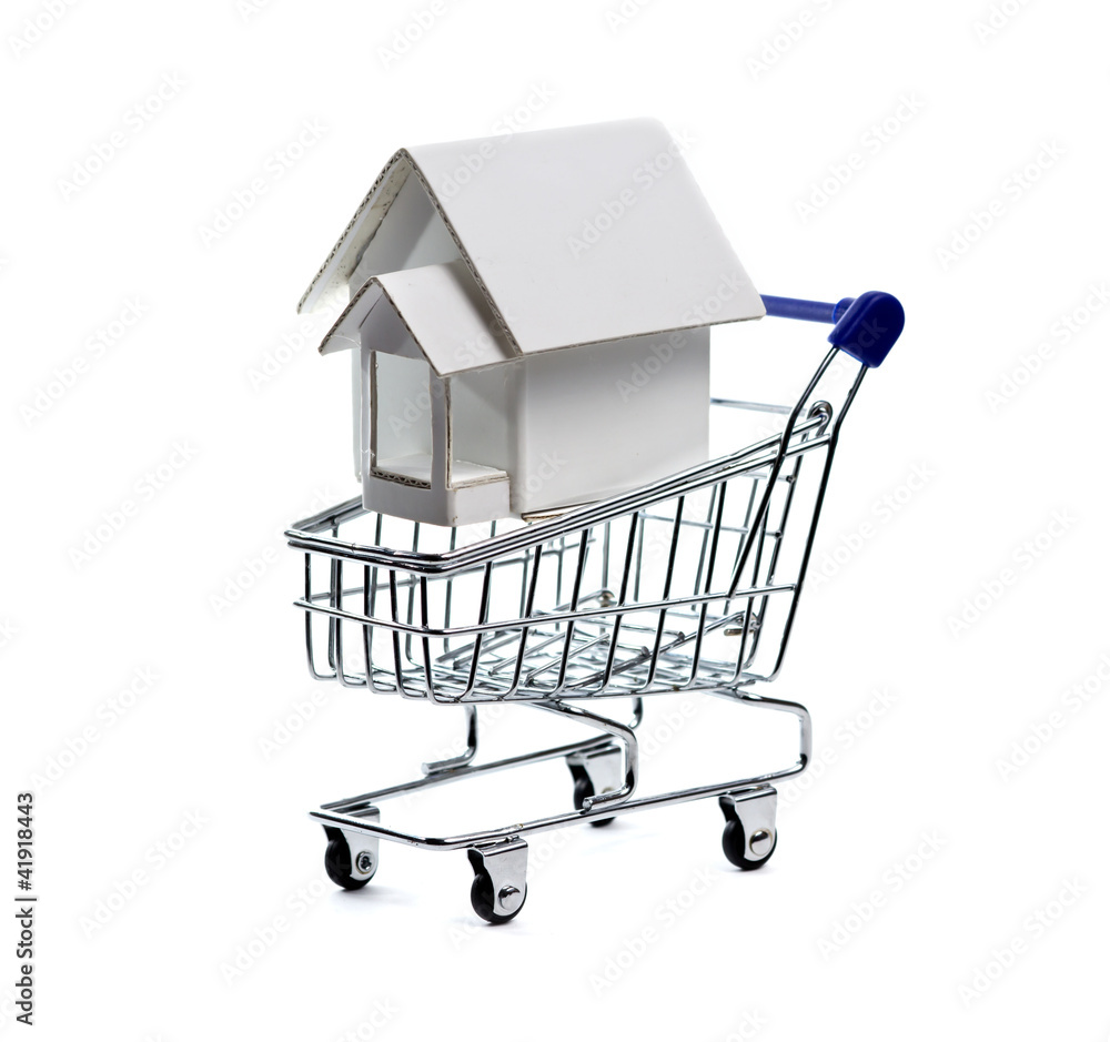 House and shopping cart.
