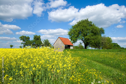 Scheune im Schwarzwald photo