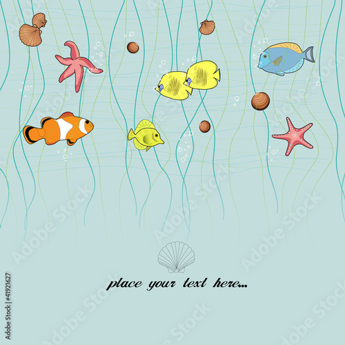 Fish and sea star