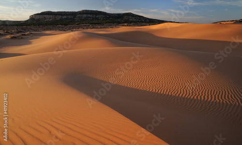 Coral Pink Sand Dunes