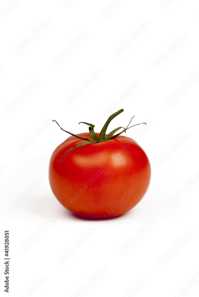 Isolated Tomato Isolated Tomato