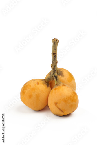 Three loquat's