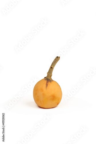 Single Loquat