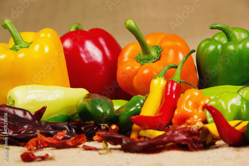 Chilli pepper still life photo