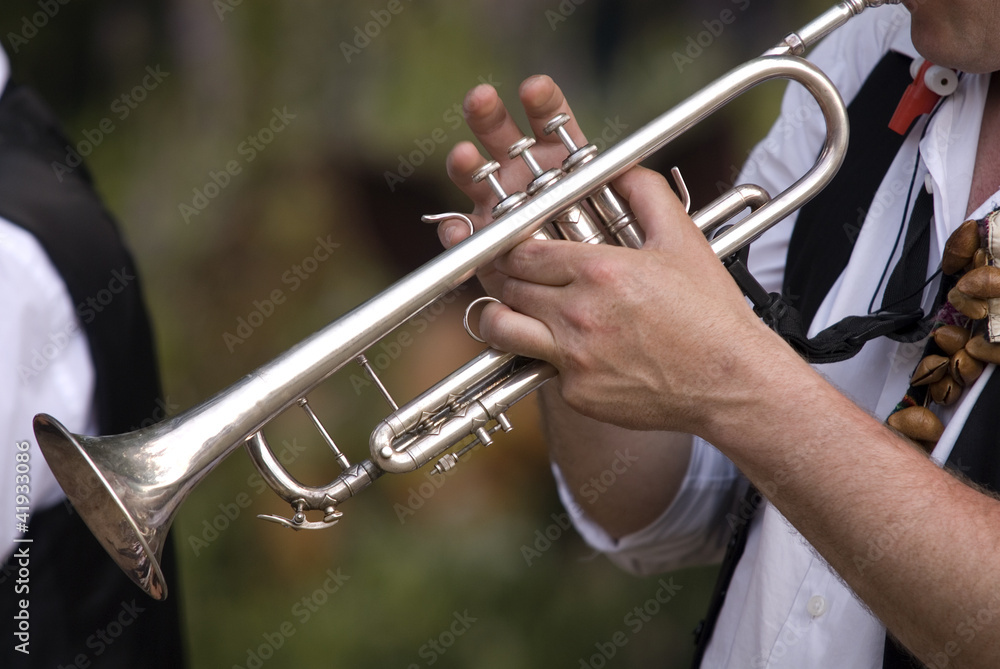 Obraz premium Trompeter