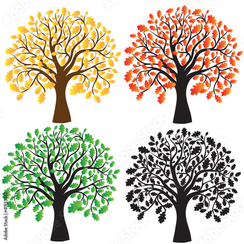 Four oak with yellow, red, green foliage. Ebony.