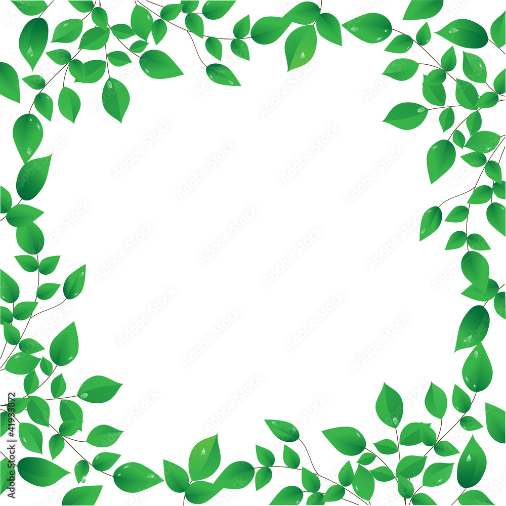 fresh green leaves frame