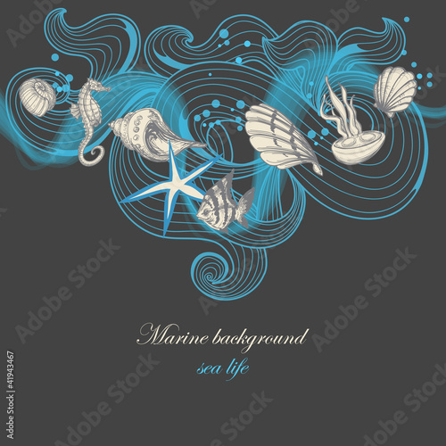 Marine background, sea life elements