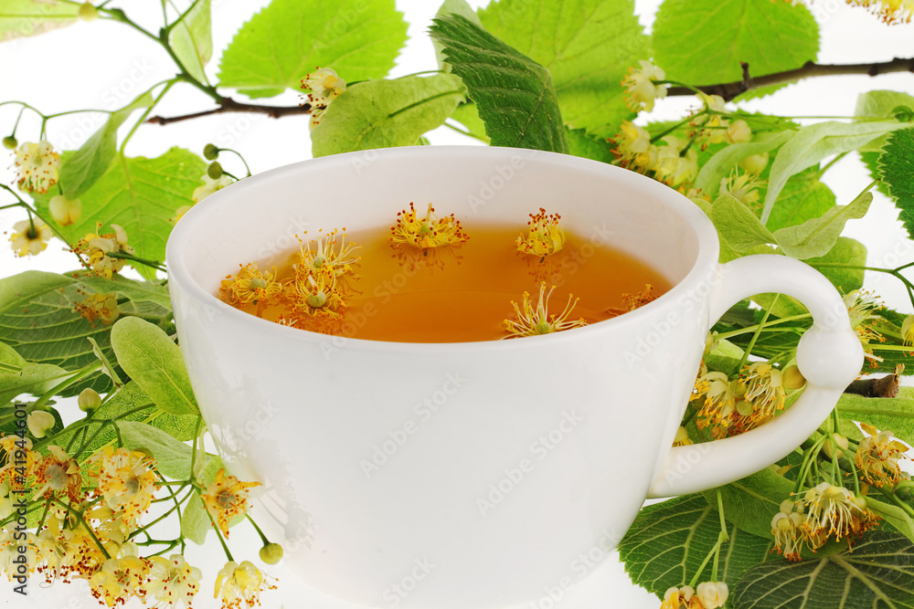 Cup of tea with linden-tree flowers Cup of tea with linden-tree flowers