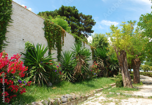 Tropical garden