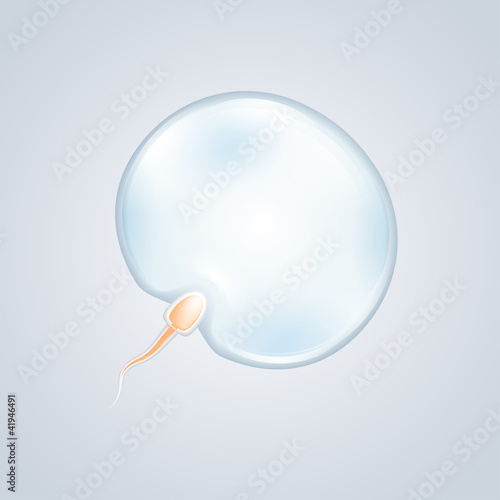 Sperm And Egg Art