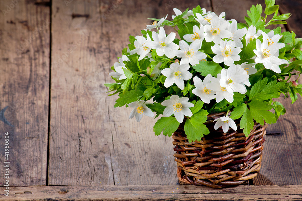 Spring flower bouquet Spring flower bouquet