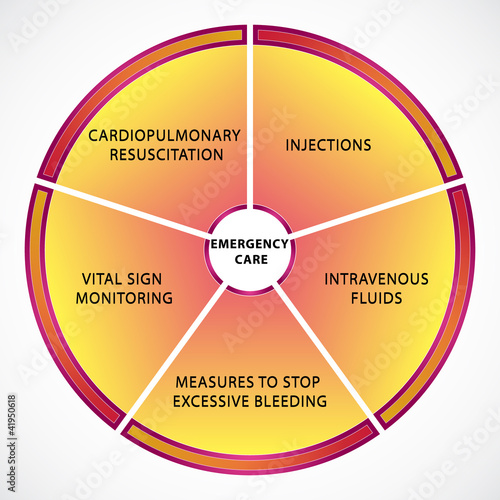 Diagram illustrating different types of emergency care