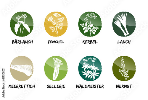 Kräuter Vektor Buttons