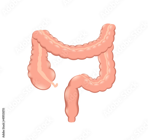 healthy colon