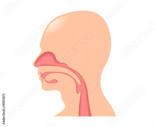 Human Tongue