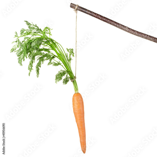 Cuadro en lienzo Carrot on a stick isolated on white
