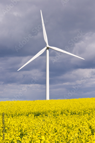 Wind turbine with rapeseed © drhfoto