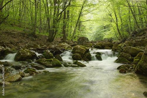 beautiful landscape with a mountain river in Crimea