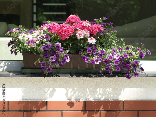 Flowerpot on parapet