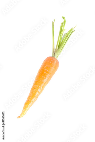 Carrots