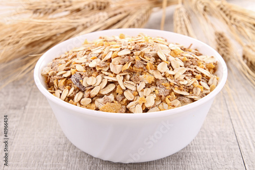 oat flakes