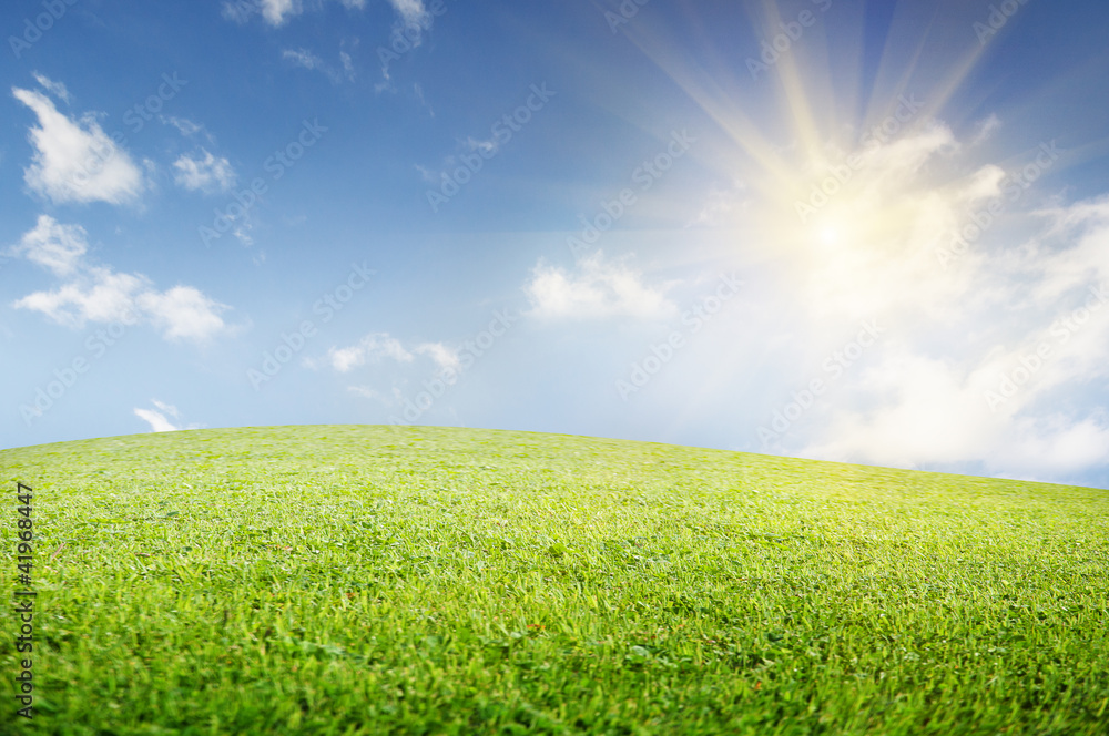 green field of grass and perfect cloudy sky green field of grass and perfect cloudy sky