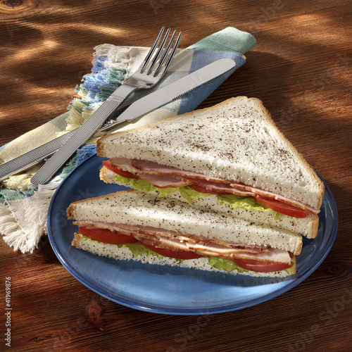 Roastbeef sandwich photo