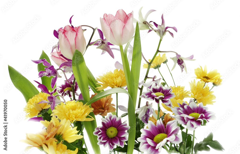 Obraz premium Wildflowers